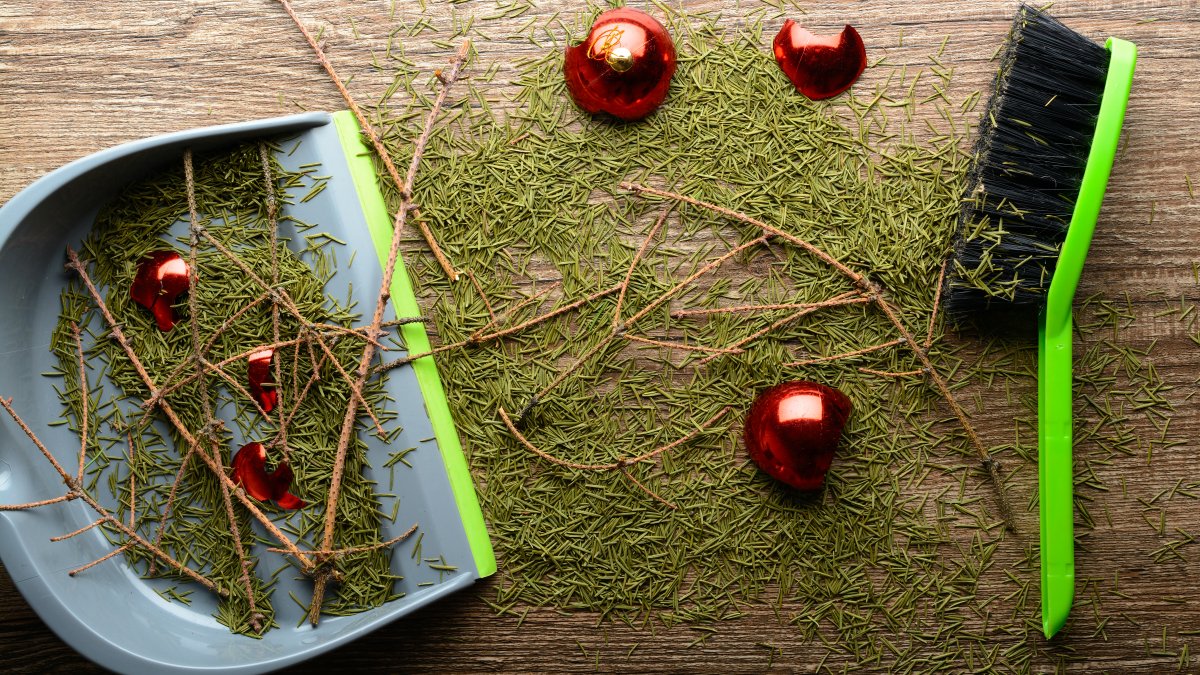 Weihnachtsbaum echt oder aus Plastik Was ist ökologisch